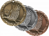 2" Eagle Medallion