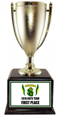 12-3/4" Cup Trophy on Black Marble Base