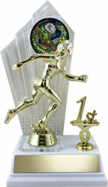 8" Acrylic Backdrop Trophy