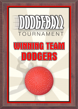 4" x 6" Dodgeball Plaque