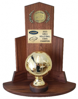 Volleyball State Champion Trophy