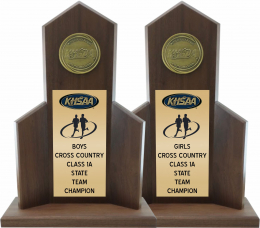 Cross Country State Champion Trophy