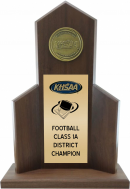 Football District Champion Trophy