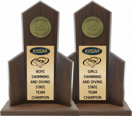 Swimming State Champion Trophy