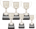xxxSilver-Plated Cup Trophy Series - CZCS