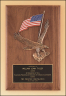 xxxAmerican Eagle & Flag Plaque  P2394