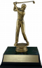7" Male Golfer "Competitor" Trophy - JDS43-8631