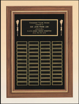  18" x 25", 36-plate Plaque