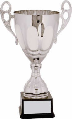15-3/4" Silver-Metal Cup Trophy